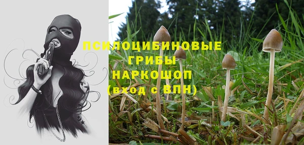 кристаллы Зеленодольск