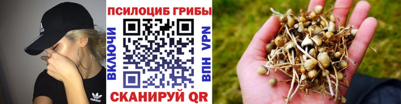 Галлюциногенные грибы ЛСД Купить Далматово
